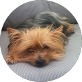 isabelle B. profile picture