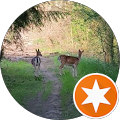 Sauerländer S. profile picture