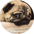 olipolioliable profile picture